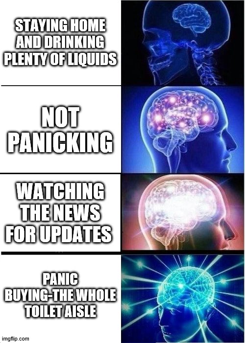 What people think they should be doing when a virus is going around | STAYING HOME AND DRINKING PLENTY OF LIQUIDS; NOT PANICKING; WATCHING THE NEWS FOR UPDATES; PANIC BUYING-THE WHOLE TOILET AISLE | image tagged in memes,expanding brain,coronavirus | made w/ Imgflip meme maker