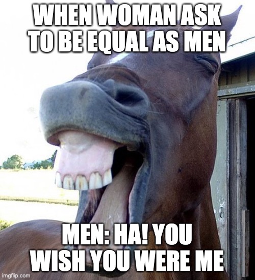 Funny Horse Face | WHEN WOMAN ASK TO BE EQUAL AS MEN; MEN: HA! YOU WISH YOU WERE ME | image tagged in funny horse face | made w/ Imgflip meme maker