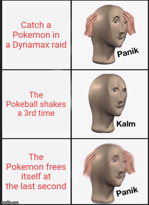 The struggles,dude... | Catch a Pokemon in a Dynamax raid; The Pokeball shakes a 3rd time; The Pokemon frees itself at the last second | image tagged in memes,panik kalm panik,pokemon sword and shield | made w/ Imgflip meme maker