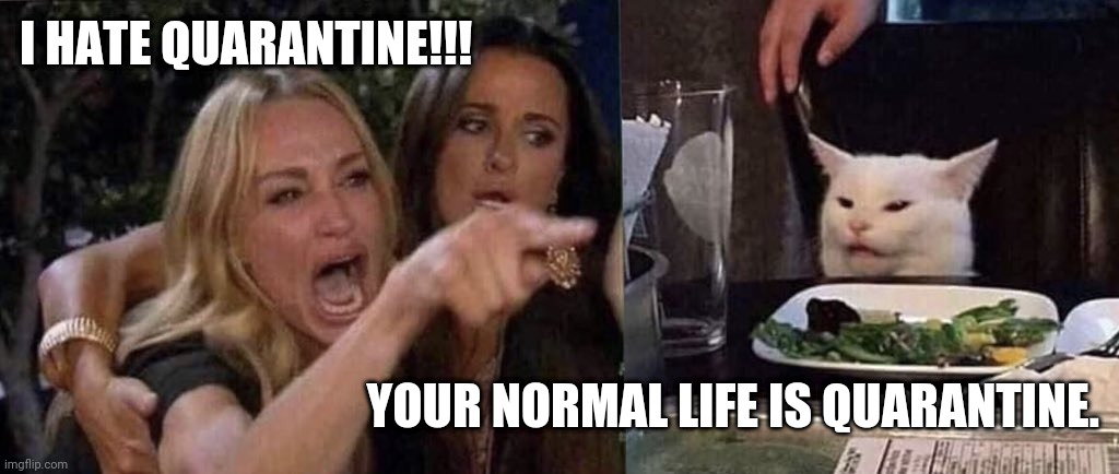 woman yelling at cat | I HATE QUARANTINE!!! YOUR NORMAL LIFE IS QUARANTINE. | image tagged in woman yelling at cat | made w/ Imgflip meme maker