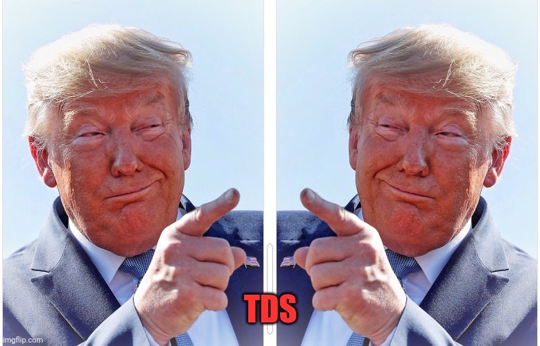 TDS | image tagged in trump pointing | made w/ Imgflip meme maker