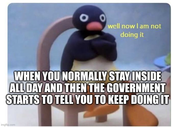 well now I am not doing it |  WHEN YOU NORMALLY STAY INSIDE ALL DAY AND THEN THE GOVERNMENT STARTS TO TELL YOU TO KEEP DOING IT | image tagged in well now i am not doing it | made w/ Imgflip meme maker