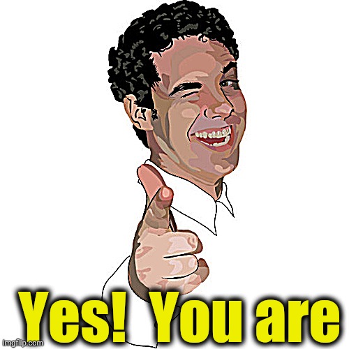 wink | Yes!  You are | image tagged in wink | made w/ Imgflip meme maker