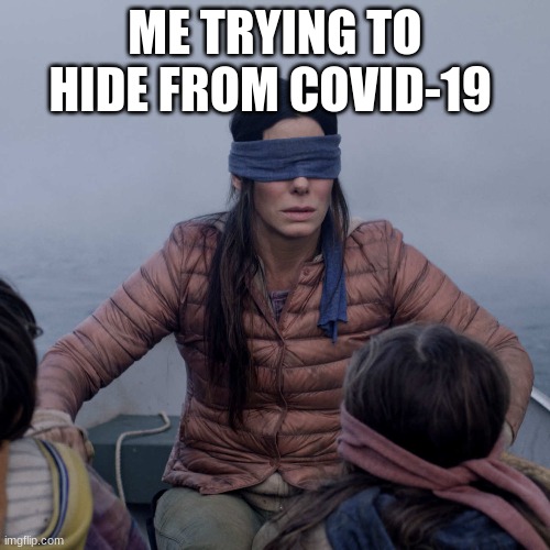 Bird Box Meme | ME TRYING TO HIDE FROM COVID-19 | image tagged in memes,bird box | made w/ Imgflip meme maker