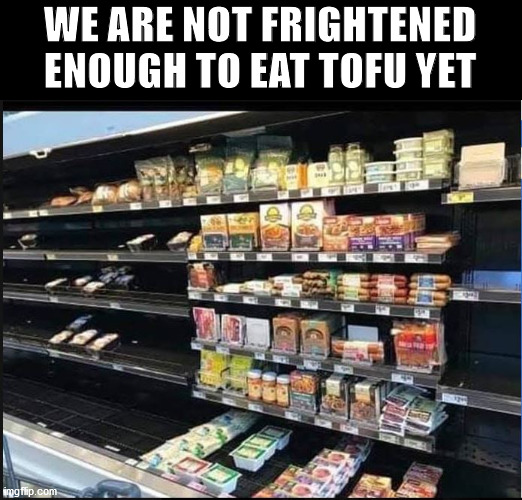 Not frightened enough to eat tofu | WE ARE NOT FRIGHTENED ENOUGH TO EAT TOFU YET | image tagged in tofu,covid-19,coronavirus,shopping,panic,hoarding | made w/ Imgflip meme maker