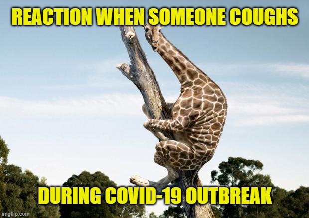 Covid-19: There's being cautious and then there's panic hysteria. |  REACTION WHEN SOMEONE COUGHS; DURING COVID-19 OUTBREAK | image tagged in scared giraffe,memes,social distancing,hysteria,pandemic,covid-19 | made w/ Imgflip meme maker