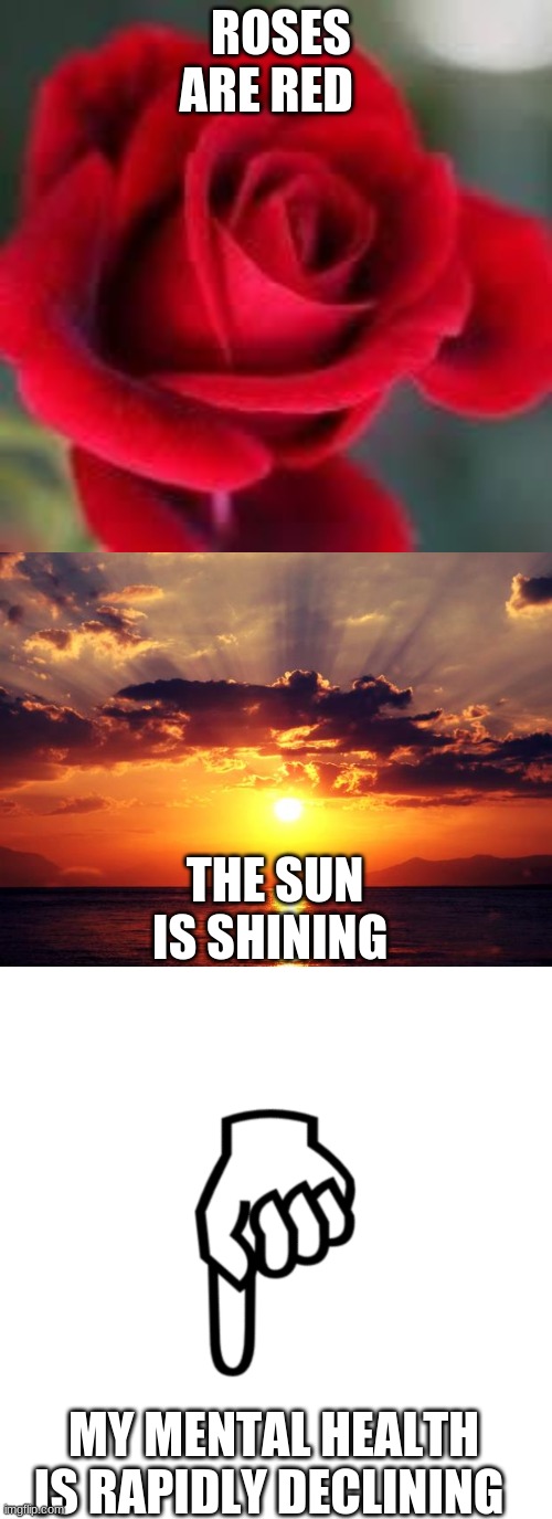 ROSES ARE RED; THE SUN IS SHINING; MY MENTAL HEALTH IS RAPIDLY DECLINING | image tagged in sunset,roses are red,be mean to the person below | made w/ Imgflip meme maker