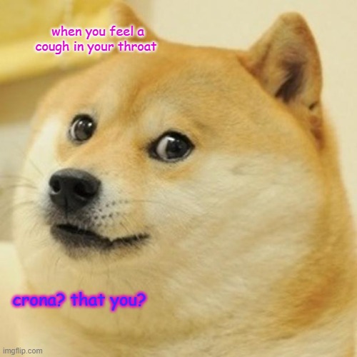 Doge Meme | when you feel a cough in your throat; crona? that you? | image tagged in memes,doge | made w/ Imgflip meme maker