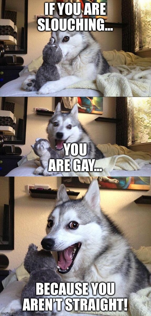 Bad Dog Puns | IF YOU ARE SLOUCHING... YOU ARE GAY... BECAUSE YOU AREN’T STRAIGHT! | image tagged in bad dog puns | made w/ Imgflip meme maker