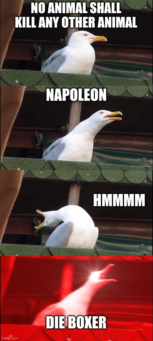 Inhaling Seagull | NO ANIMAL SHALL KILL ANY OTHER ANIMAL; NAPOLEON; HMMMM; DIE BOXER | image tagged in memes,inhaling seagull | made w/ Imgflip meme maker