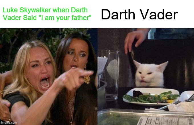 1900's stuff | Luke Skywalker when Darth Vader Said "I am your father"; Darth Vader | image tagged in memes,woman yelling at cat | made w/ Imgflip meme maker