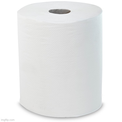 Toilet paper | image tagged in tp,toilet paper,coronavirus | made w/ Imgflip meme maker