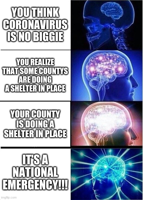 Expanding Brain | YOU THINK CORONAVIRUS IS NO BIGGIE; YOU REALIZE THAT SOME COUNTYS ARE DOING A SHELTER IN PLACE; YOUR COUNTY IS DOING A SHELTER IN PLACE; IT'S A NATIONAL EMERGENCY!!! | image tagged in memes,expanding brain | made w/ Imgflip meme maker