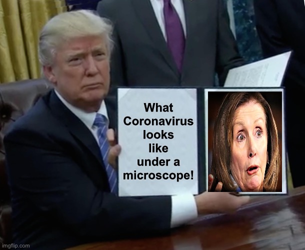 Trump Bill Signing Meme | What Coronavirus looks like under a microscope! | image tagged in memes,trump bill signing | made w/ Imgflip meme maker