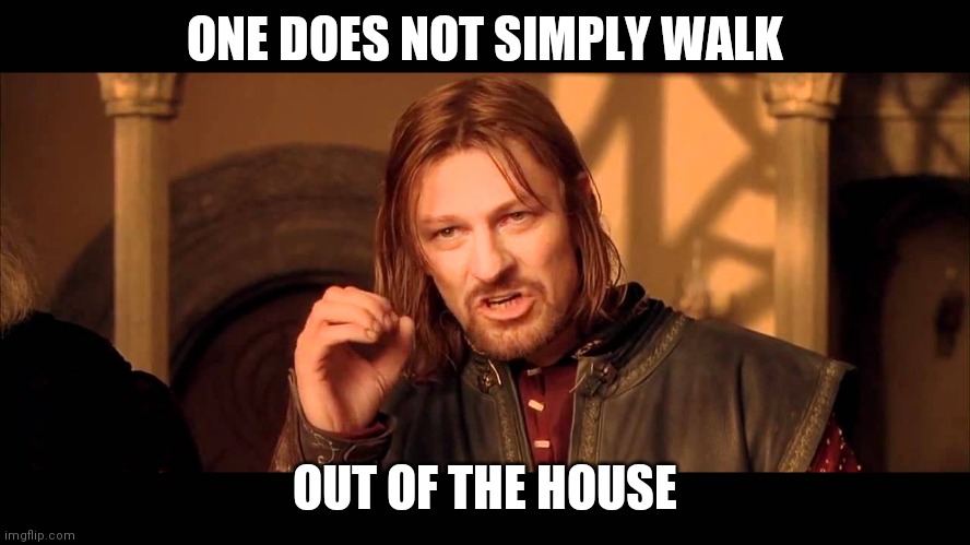 Walk Into Mordor | ONE DOES NOT SIMPLY WALK; OUT OF THE HOUSE | image tagged in walk into mordor | made w/ Imgflip meme maker