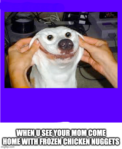 WHEN U SEE YOUR MOM COME HOME WITH FROZEN CHICKEN NUGGETS | image tagged in chicken nuggets,memes,funny,dogs | made w/ Imgflip meme maker