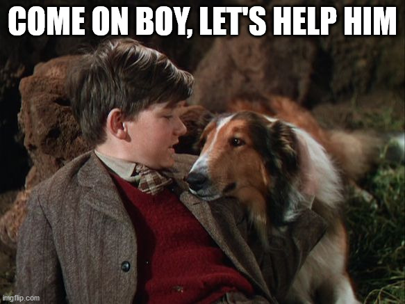 Lassie saves the day | COME ON BOY, LET'S HELP HIM | image tagged in lassie saves the day | made w/ Imgflip meme maker