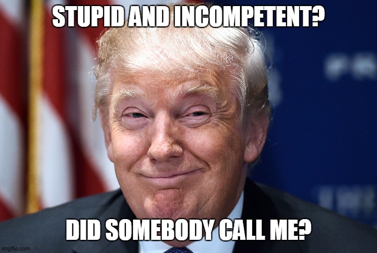Trump smiles | STUPID AND INCOMPETENT? DID SOMEBODY CALL ME? | image tagged in trump smiles | made w/ Imgflip meme maker