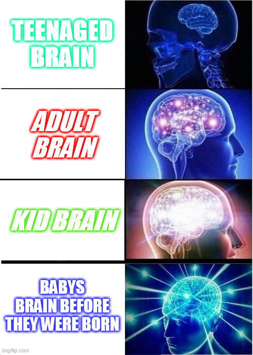 Expanding Brain Meme | TEENAGED BRAIN; ADULT BRAIN; KID BRAIN; BABYS BRAIN BEFORE THEY WERE BORN | image tagged in memes,expanding brain | made w/ Imgflip meme maker