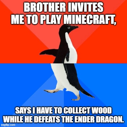 Socially Awesome Awkward Penguin | BROTHER INVITES ME TO PLAY MINECRAFT, SAYS I HAVE TO COLLECT WOOD WHILE HE DEFEATS THE ENDER DRAGON. | image tagged in memes,socially awesome awkward penguin | made w/ Imgflip meme maker
