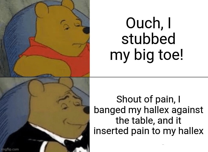 Tuxedo Winnie The Pooh | Ouch, I stubbed my big toe! Shout of pain, I banged my hallex against the table, and it inserted pain to my hallex | image tagged in memes,tuxedo winnie the pooh | made w/ Imgflip meme maker