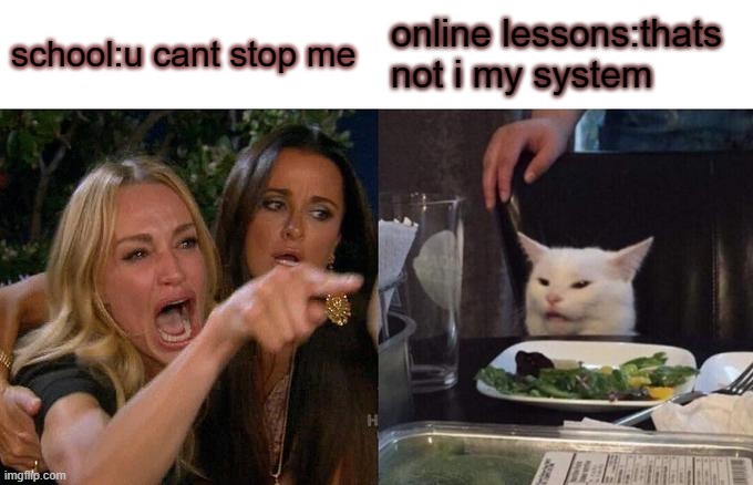 Woman Yelling At Cat | school:u cant stop me; online lessons:thats not i my system | image tagged in memes,woman yelling at cat | made w/ Imgflip meme maker