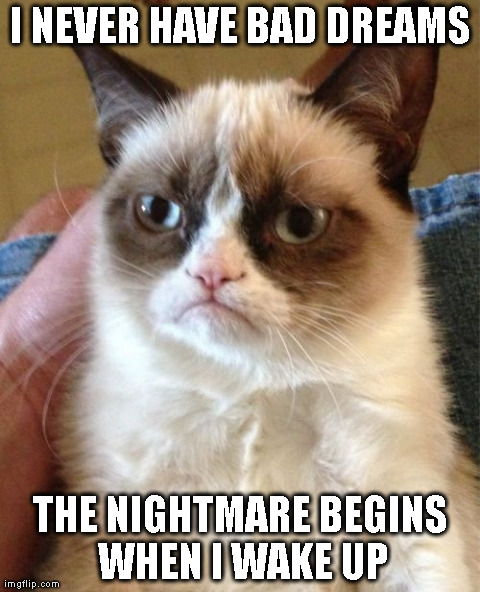 Grumpy Cat Meme | I NEVER HAVE BAD DREAMS THE NIGHTMARE BEGINS WHEN I WAKE UP | image tagged in memes,grumpy cat | made w/ Imgflip meme maker