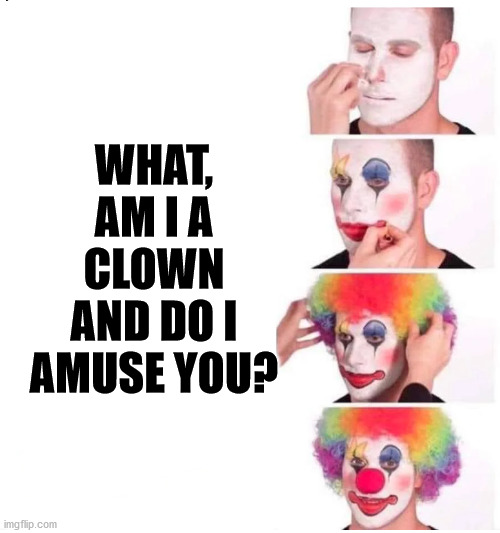 clown makeup | WHAT, AM I A CLOWN AND DO I AMUSE YOU? | image tagged in clown makeup | made w/ Imgflip meme maker