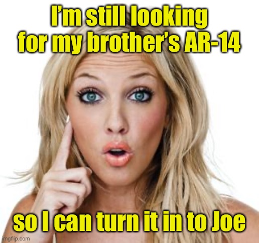 Dumb blonde | I’m still looking for my brother’s AR-14 so I can turn it in to Joe | image tagged in dumb blonde | made w/ Imgflip meme maker