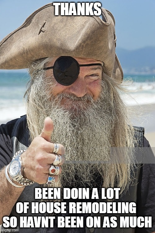 PIRATE THUMBS UP | THANKS BEEN DOIN A LOT OF HOUSE REMODELING 
SO HAVNT BEEN ON AS MUCH | image tagged in pirate thumbs up | made w/ Imgflip meme maker