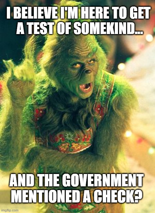I BELIEVE I'M HERE TO GET
 A TEST OF SOMEKIND... AND THE GOVERNMENT MENTIONED A CHECK? | image tagged in covid-19,us government,grinch | made w/ Imgflip meme maker