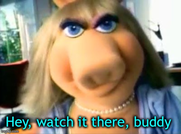 Mad Miss Piggy | Hey, watch it there, buddy | image tagged in mad miss piggy | made w/ Imgflip meme maker