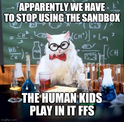 Chemistry Cat Meme | APPARENTLY WE HAVE TO STOP USING THE SANDBOX; THE HUMAN KIDS PLAY IN IT FFS | image tagged in memes,chemistry cat | made w/ Imgflip meme maker