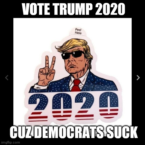 VOTE TRUMP 2020 CUZ DEMOCRATS SUCK | made w/ Imgflip meme maker