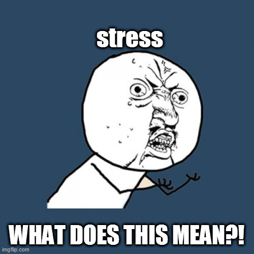 Y U No Meme | stress WHAT DOES THIS MEAN?! | image tagged in memes,y u no | made w/ Imgflip meme maker