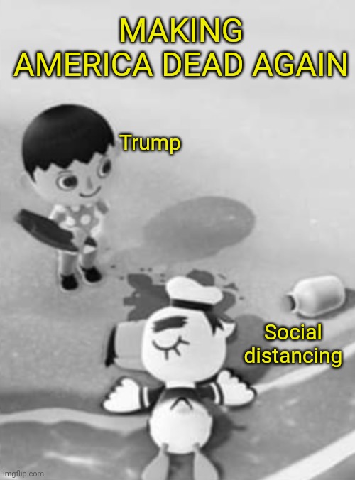 Trump' fantasy | MAKING AMERICA DEAD AGAIN; Trump; Social distancing | image tagged in maga,cult,death wish,insanity,evil | made w/ Imgflip meme maker