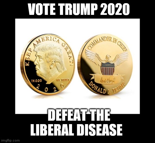 VOTE TRUMP 2020 DEFEAT THE LIBERAL DISEASE | made w/ Imgflip meme maker