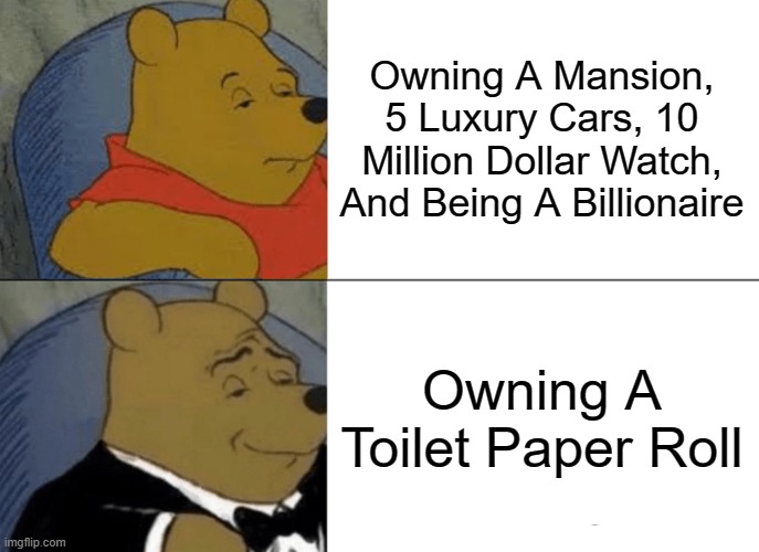 Tuxedo Winnie The Pooh | Owning A Mansion, 5 Luxury Cars, 10 Million Dollar Watch, And Being A Billionaire; Owning A Toilet Paper Roll | image tagged in memes,tuxedo winnie the pooh | made w/ Imgflip meme maker