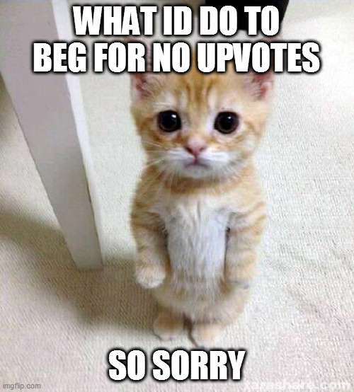 WHAT ID DO TO BEG FOR NO UPVOTES SO SORRY | image tagged in memes,cute cat | made w/ Imgflip meme maker