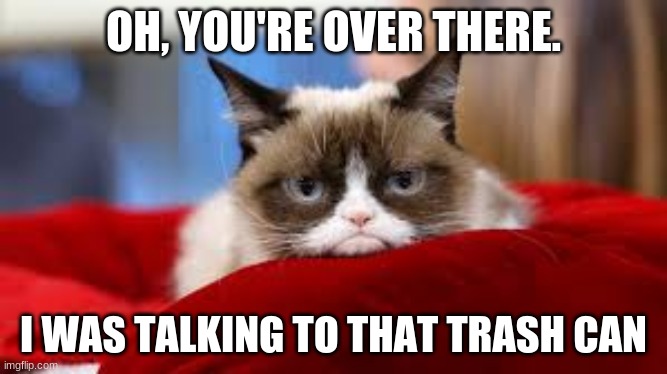 trash can | OH, YOU'RE OVER THERE. I WAS TALKING TO THAT TRASH CAN | image tagged in grumpy cat | made w/ Imgflip meme maker