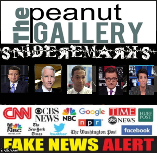 The Peanut Gallery | image tagged in fake news,cnn,media,lemon,cooper | made w/ Imgflip meme maker