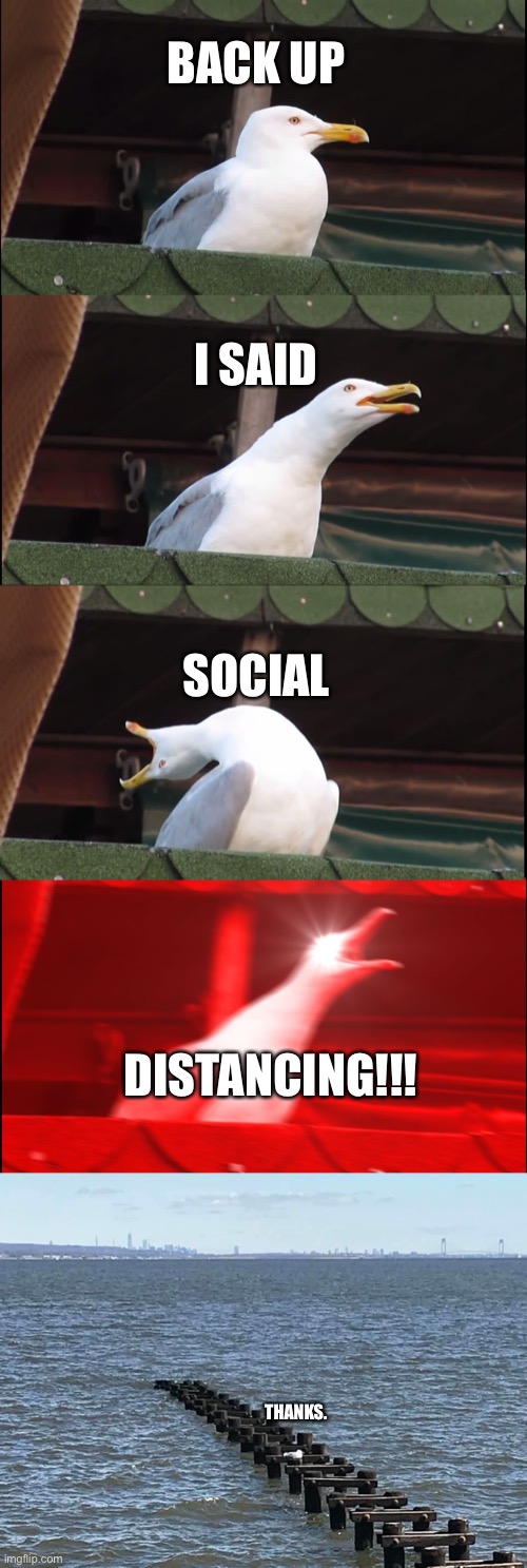 Be the seagull. | BACK UP; I SAID; SOCIAL; DISTANCING!!! THANKS. | image tagged in memes,inhaling seagull | made w/ Imgflip meme maker