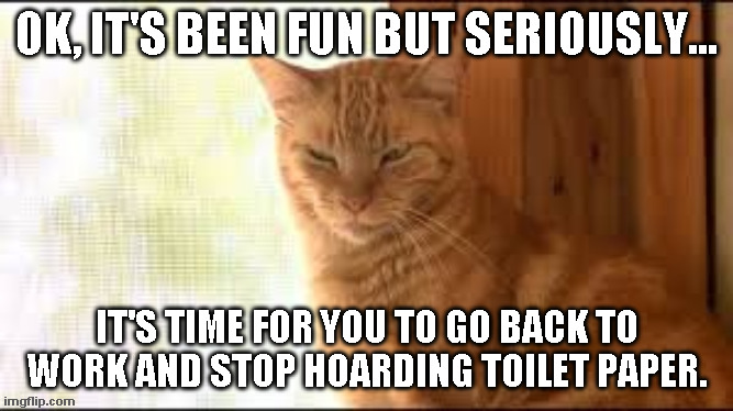 The cat is tired of me | OK, IT'S BEEN FUN BUT SERIOUSLY... IT'S TIME FOR YOU TO GO BACK TO WORK AND STOP HOARDING TOILET PAPER. | image tagged in cat,covid19 | made w/ Imgflip meme maker