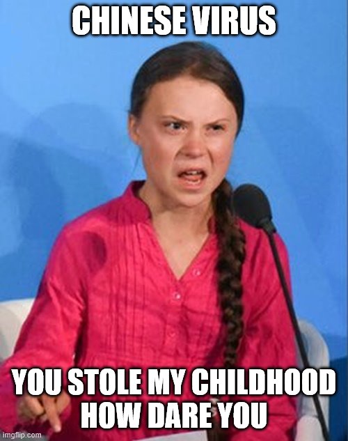 Greta Thunberg how dare you | CHINESE VIRUS; YOU STOLE MY CHILDHOOD
HOW DARE YOU | image tagged in greta thunberg how dare you | made w/ Imgflip meme maker