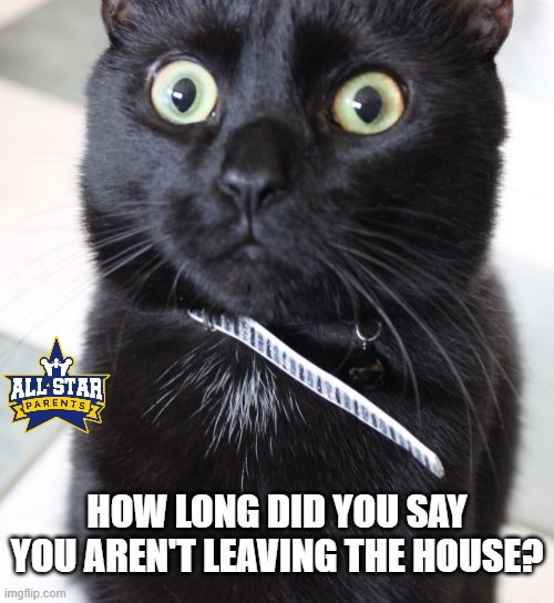 Woah Kitty | HOW LONG DID YOU SAY YOU AREN'T LEAVING THE HOUSE? | image tagged in memes,woah kitty,cats,funny,quarantine | made w/ Imgflip meme maker
