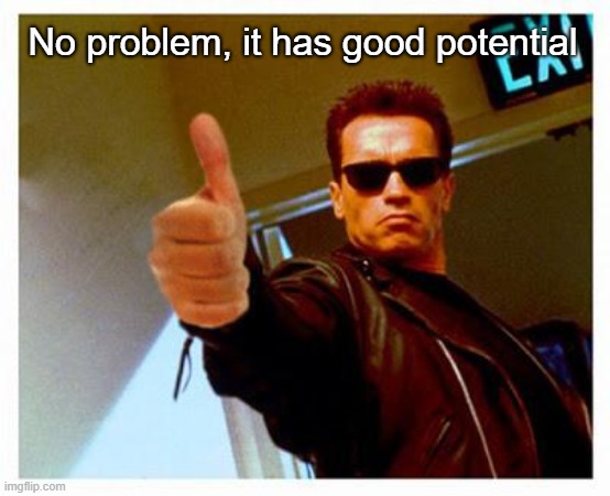 terminator thumbs up | No problem, it has good potential | image tagged in terminator thumbs up | made w/ Imgflip meme maker