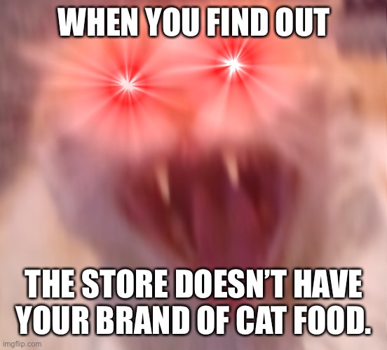 Angry cat | WHEN YOU FIND OUT; THE STORE DOESN’T HAVE YOUR BRAND OF CAT FOOD. | image tagged in angry cat | made w/ Imgflip meme maker