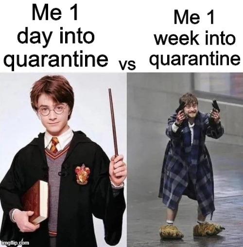 It's been hard | Me 1 day into quarantine; Me 1 week into quarantine; vs | image tagged in memes,funny,harry potter,quarantine,crazy harry potter | made w/ Imgflip meme maker