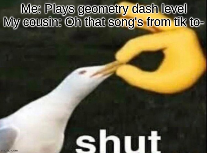 SHUT | Me: Plays geometry dash level
My cousin: Oh that song's from tik to- | image tagged in shut | made w/ Imgflip meme maker