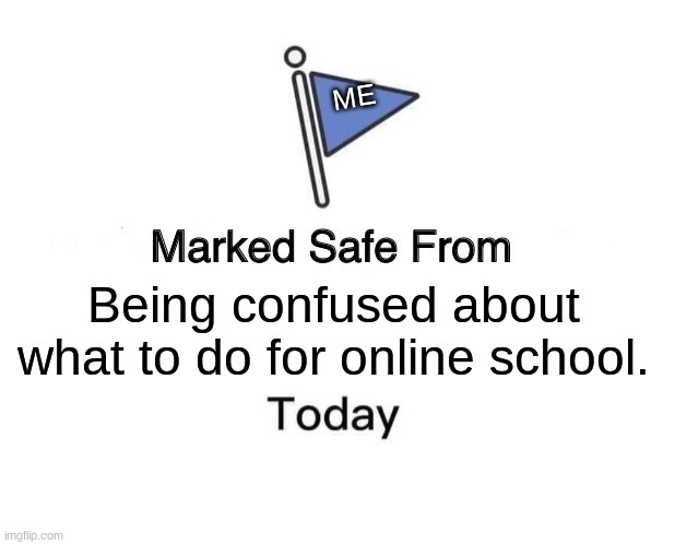 Marked Safe From Meme | ME; Being confused about what to do for online school. | image tagged in memes,marked safe from | made w/ Imgflip meme maker